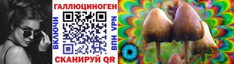 блэк спрут ССЫЛКА  Саратов  Галлюциногенные грибы Cubensis 